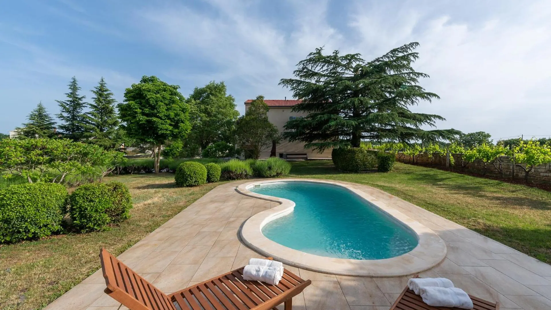 Luxury Villa Branko Istria Svetvincenat Croatia