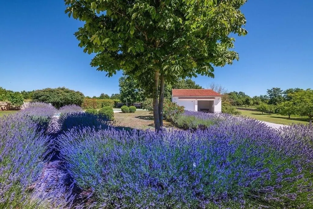 Luxury Villa Branko Istria Svetvincenat